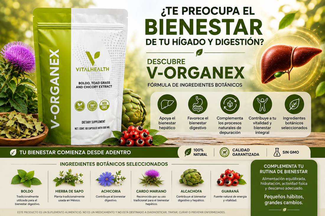 ¿Te preocupa el bienestar de tu hígado y digestión? Descubre V-ORGANEX