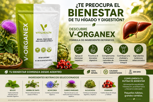 ¿Te preocupa el bienestar de tu hígado y digestión? Descubre V-ORGANEX